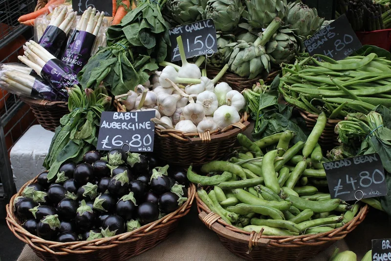 Prix d'une détection canine en 2026 : ce que j'ai constaté