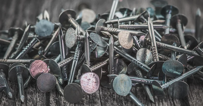 Réparer, traiter ou remplacer : le vrai calcul (et ce que personne ne vous dit)