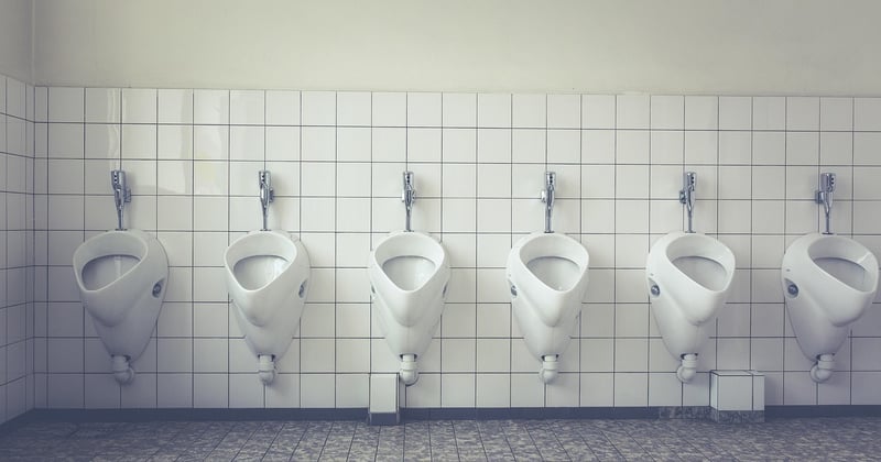 Vers dans les toilettes : comment s'en débarrasser définitivement ?