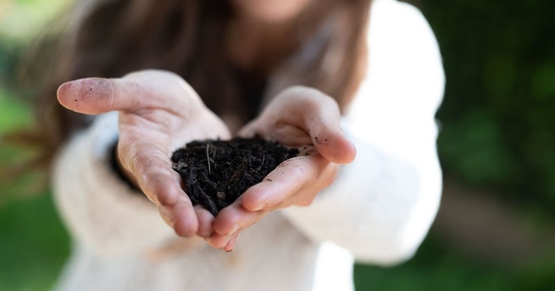 Révolutionnez votre jardin avec ces techniques innovantes méconnues