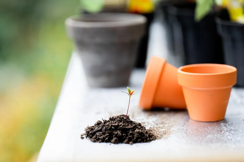 Les outils incontournables que vous ne trouverez pas ailleurs