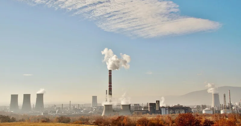 Les approches écologiques que j'ai testées (et ce que ça a donné)