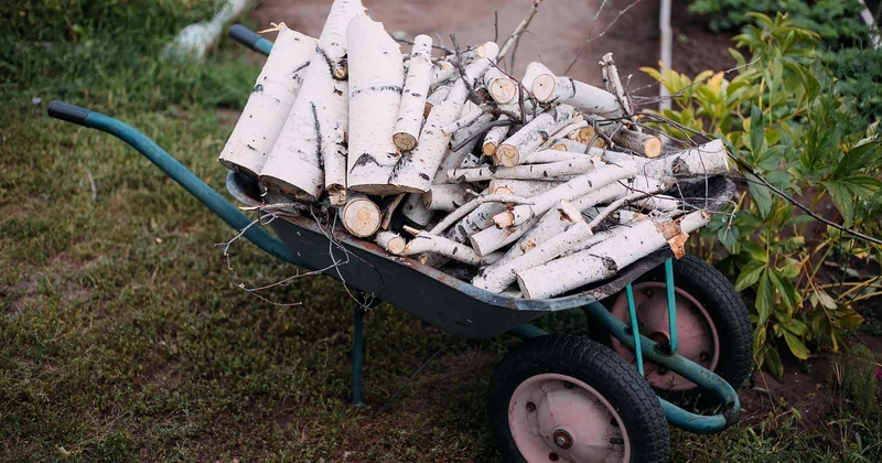 Chauffage solaire abri de jardin : ce que ça peut vraiment faire