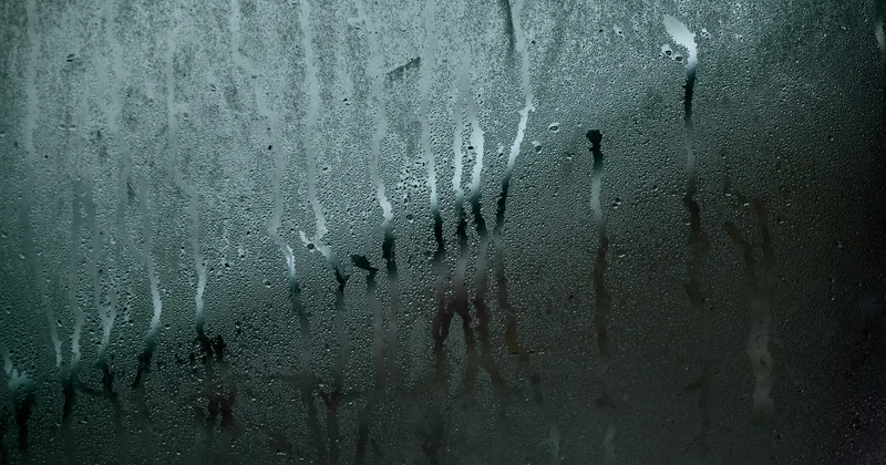 Gérer l'humidité et la ventilation : le détail qui fait tout